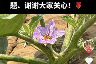 醒太晚！亨德森21中9拿到23分10助 末节垃圾时间7分6助